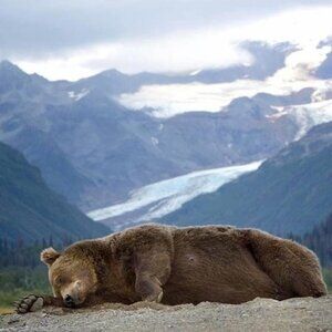 Migraines made me sleep 💤 right thru it!